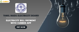 TNEB Electricity Bill Payment